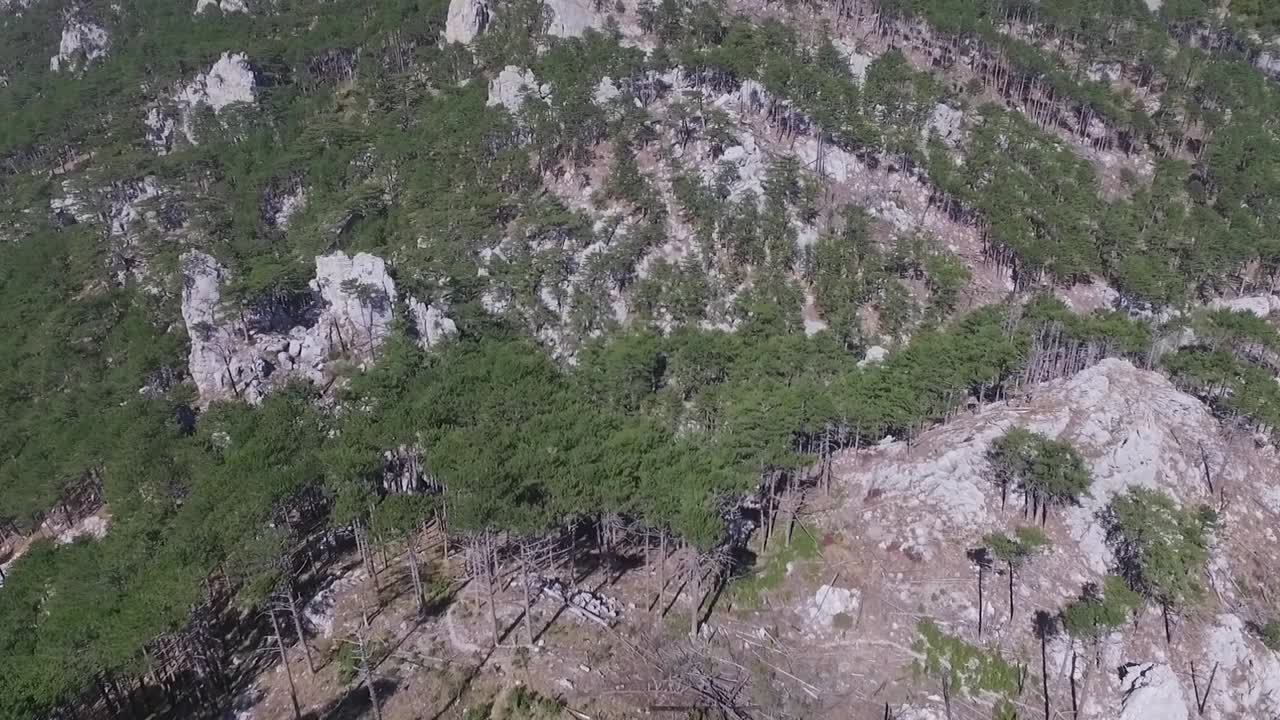 vista aérea de un bosque montañoso con árboles dañados
