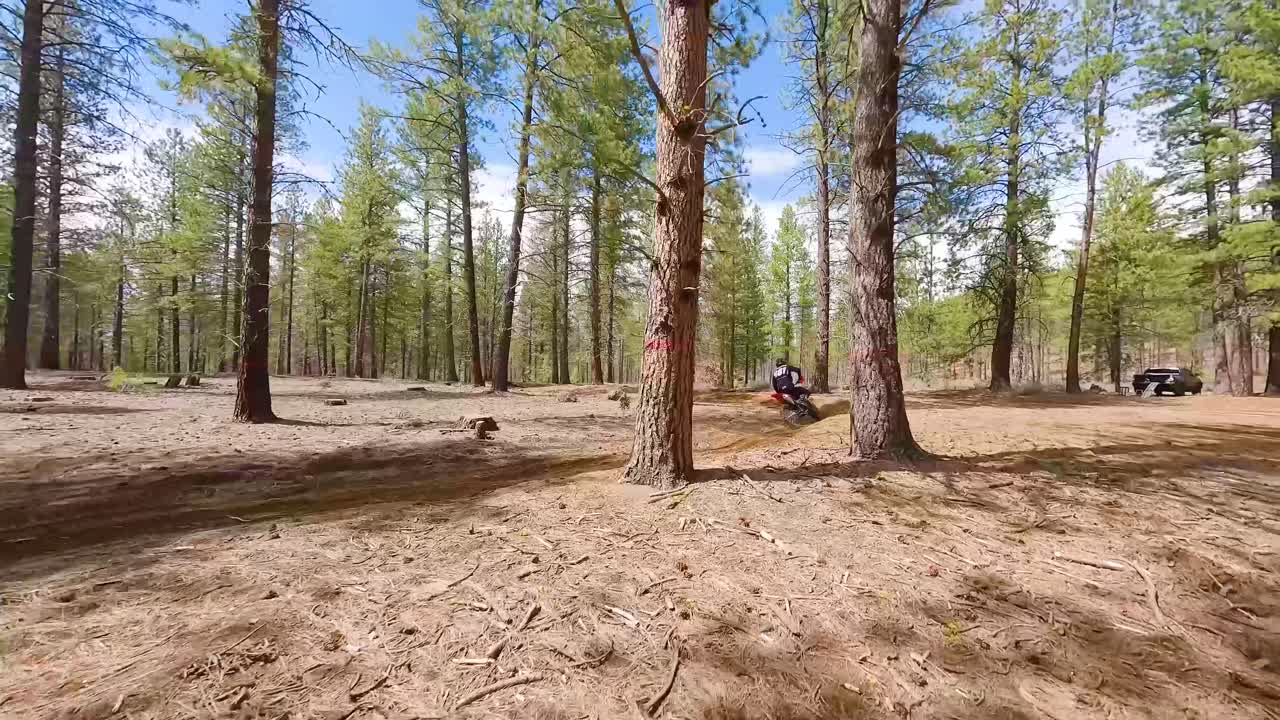 dron de carrera de tiro amplio y motociclista de tierra a través de árboles forestales, 60 fps