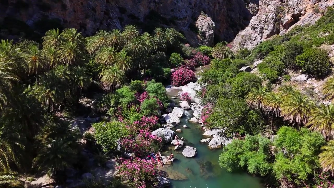 Yunanistan'ın Girit adasındaki Rethymno, Agios Vasileios yakınlarında, kayalık uçurumların ve Girit hurma ağaçlarının altında Preveli Kanyonu boyunca kıvrılan Kourtaliotis Nehri, drone ile ileri uçuş