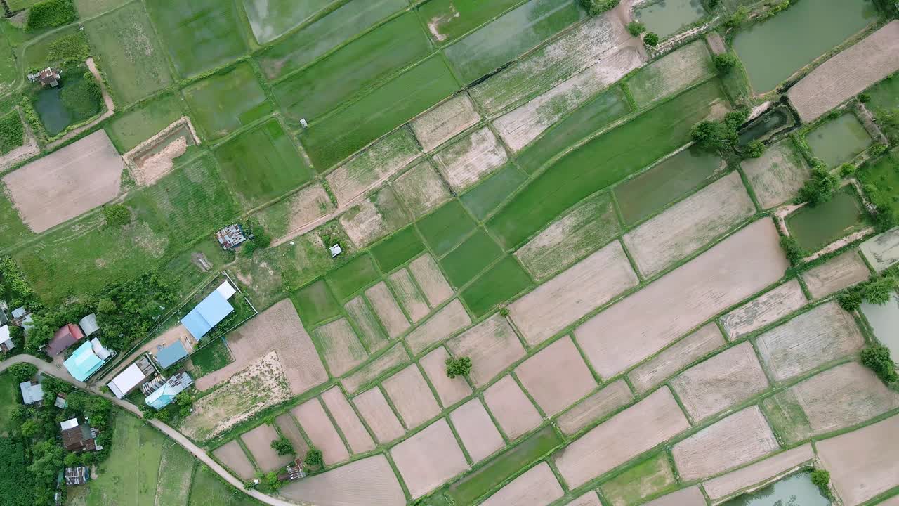 naturaleza drone volar