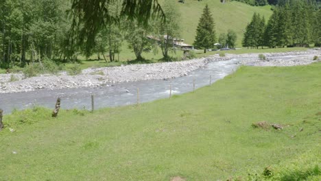 Arroyo-De-Montaña-Que-Fluye-A-Través-De-Una-Granja-Verde