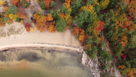 Vista-De-Drones-Del-área-Cerca-Del-Lago-Con-Arena-Clara-Y-árboles-Cambiantes-Durante-La-Primavera