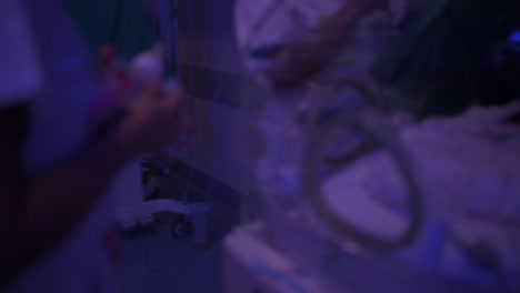 enfermera tocando a un recién nacido frágil en una incubadora neonatal