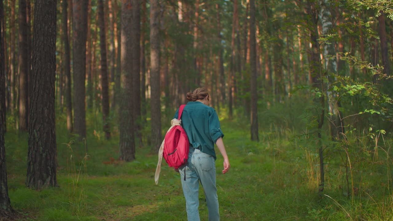 초록색 셔츠, 파란색 청바지, 색 캔버스 신발을 입고 숲길을 따라 높은 풀줄기를 만지는 은 배을 들고 울창한 숲을 고 있는 여성의 뒷면