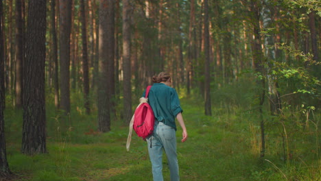 vista trasera de una mujer caminando por un bosque exuberante, con una mochila roja, vestida con una camisa verde, pantalones vaqueros azules y zapatos blancos de lona, tocando las altas hebras de hierba a lo largo del sendero del bosque