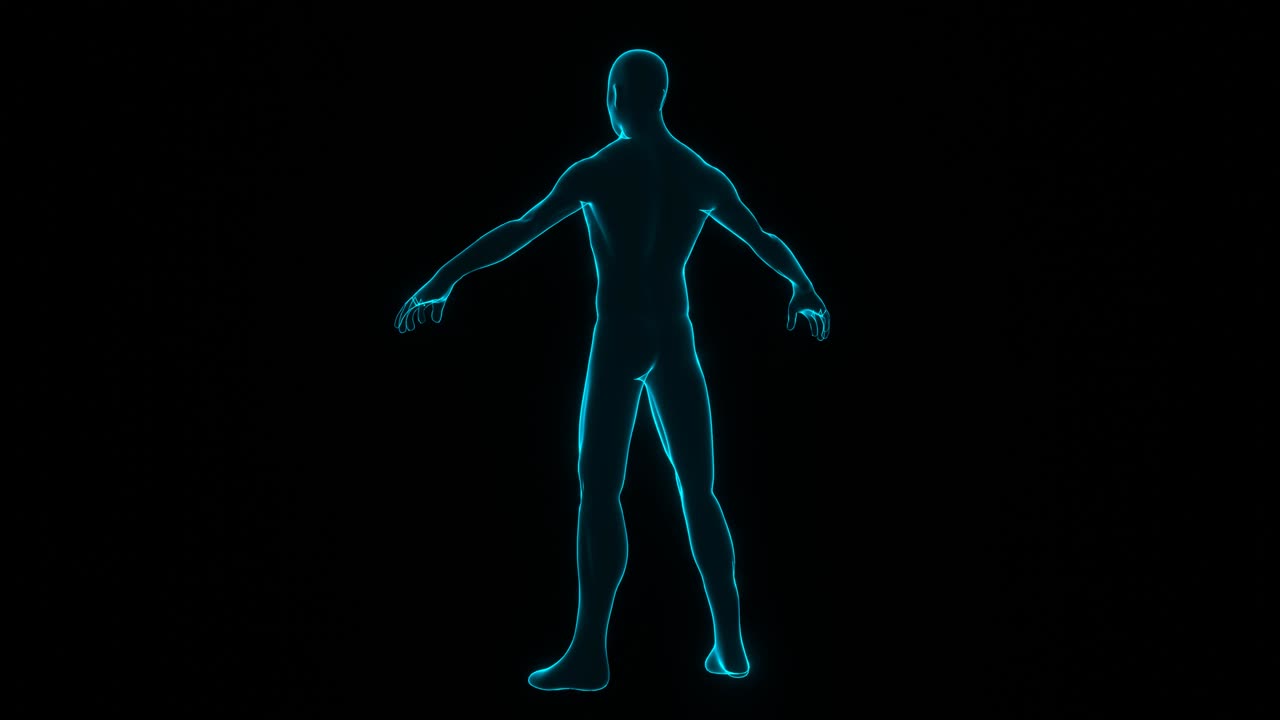 cuerpo humano. rotación del modelo humano.