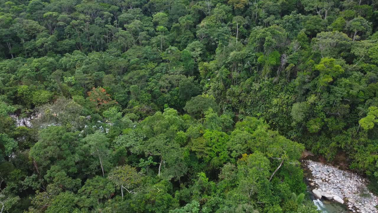 Drone Tilt-Down shot Revealing a River in the Amazon Rainforest, Ecuador