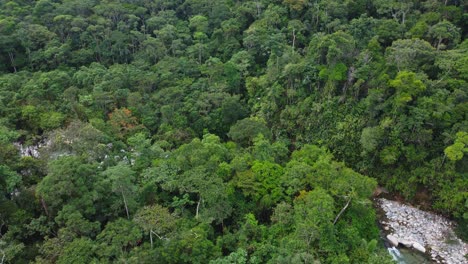 drone tilt-down shot revealing a river in the amazon rainforest, ecuador