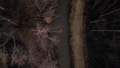 el sinuoso río loosahatchie en medio de árboles estériles, en tennessee, día nublado, vista aérea