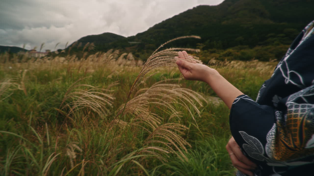 Person in a Kimono in a Field of Grass