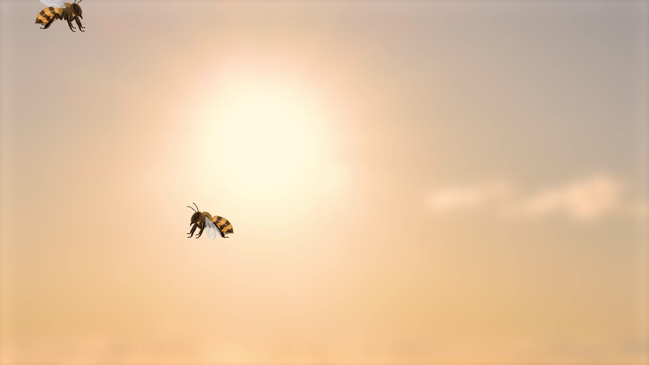Bienen fliegen anmutig vor einer Sonnenuntergangskulisse
