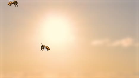 bees gracefully flying against a sunset backdrop