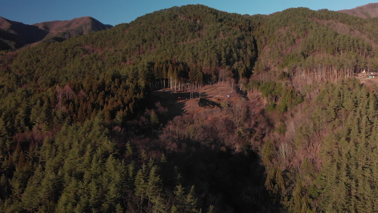 Aerial View of a Forest with a Shrine in Japan