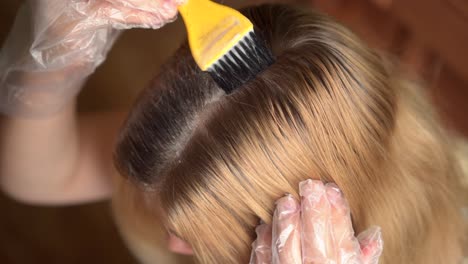 hair dresser applying chemical hair color dye onto hair roots