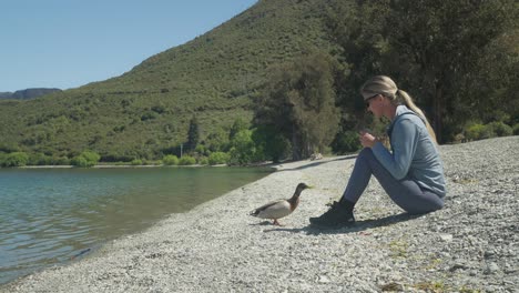 woman feeds duck on pebble beach at wilson bay of lake wakatipu, summer