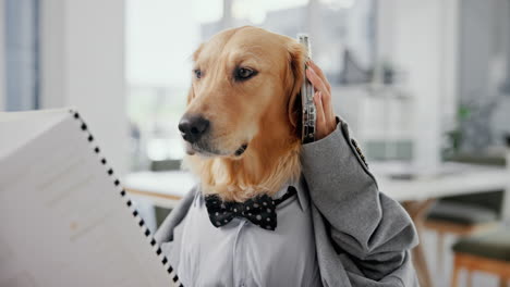 dog in business suit on the phone