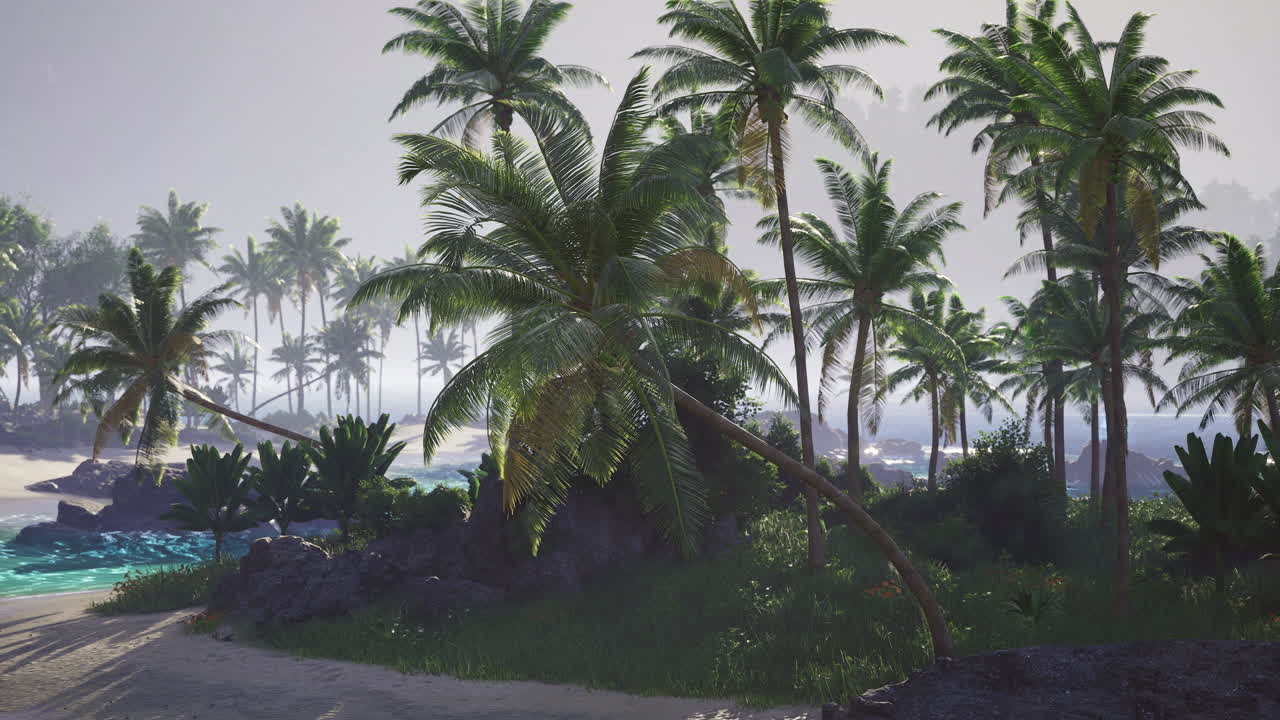Lush tropical landscape with palm trees and serene beach view