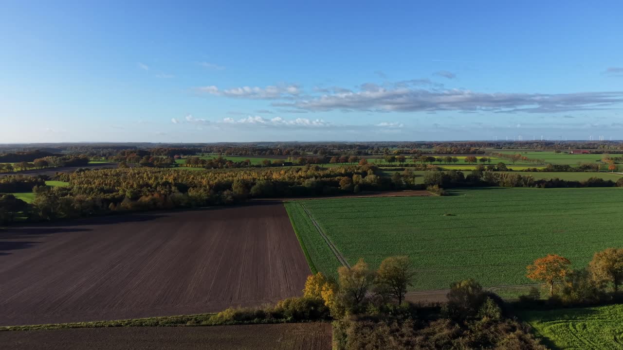 Picturesque farmland fields of America during sunny day in fall season. Aerial wide shot. Cultivated fields and multicolored leaves of trees in autumn. Peaceful and quaint landscape rural scene
