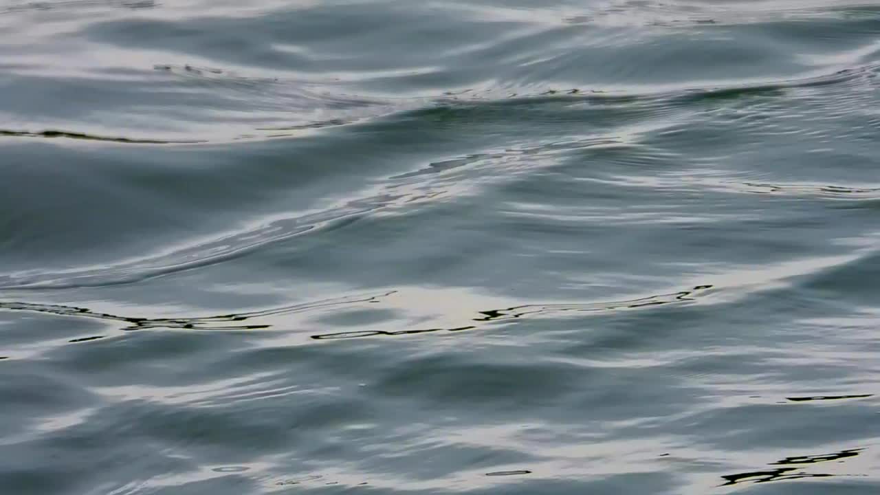 호수 배경의 부드러운 물결