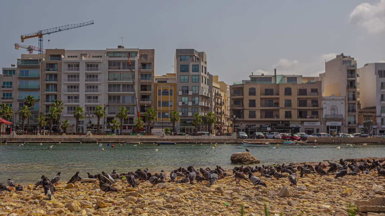 el lapso de tiempo de la ciudad con muchas palomas alimentándose en la orilla del río el tráfico pesado se mueve en las carreteras