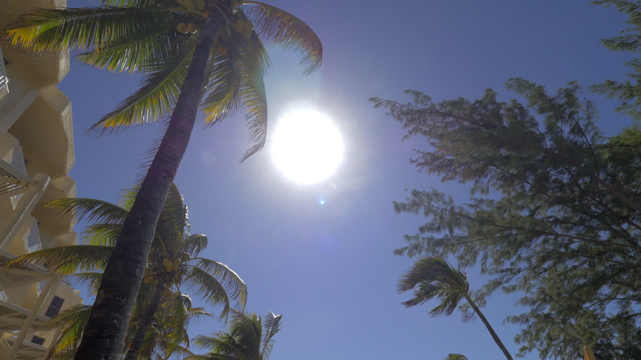 яркое солнце светит над летним курортом на маврикии