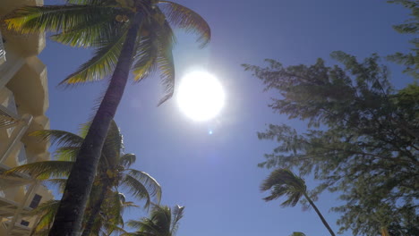 bright sun shining over summer resort in mauritius