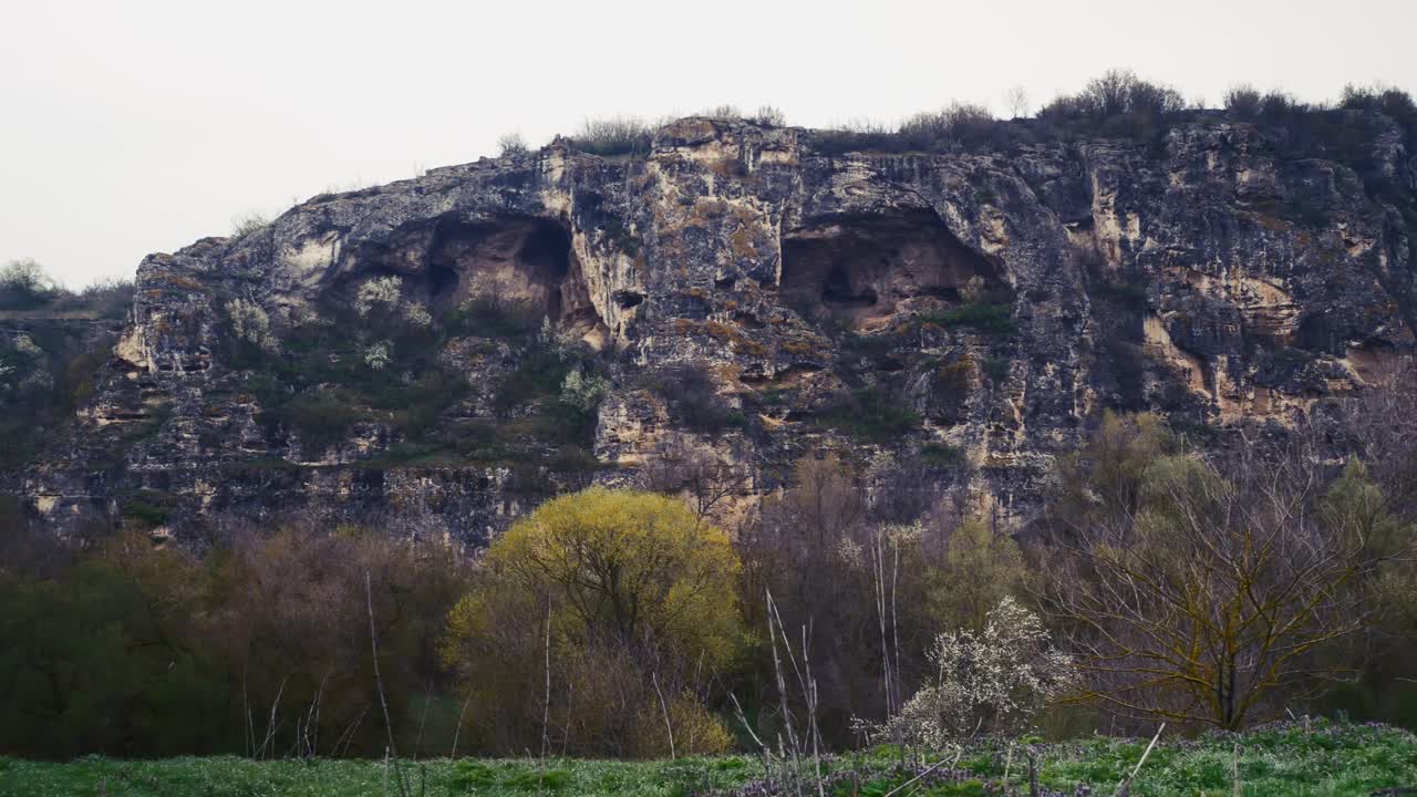Explore a limestone hillside forest where rugged rocks meet lush greenery — a hidden natural gem full of mystery, wildlife, and breathtaking views.