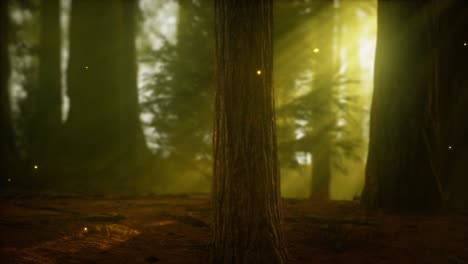 firefly-in-misty-forest-with-fog