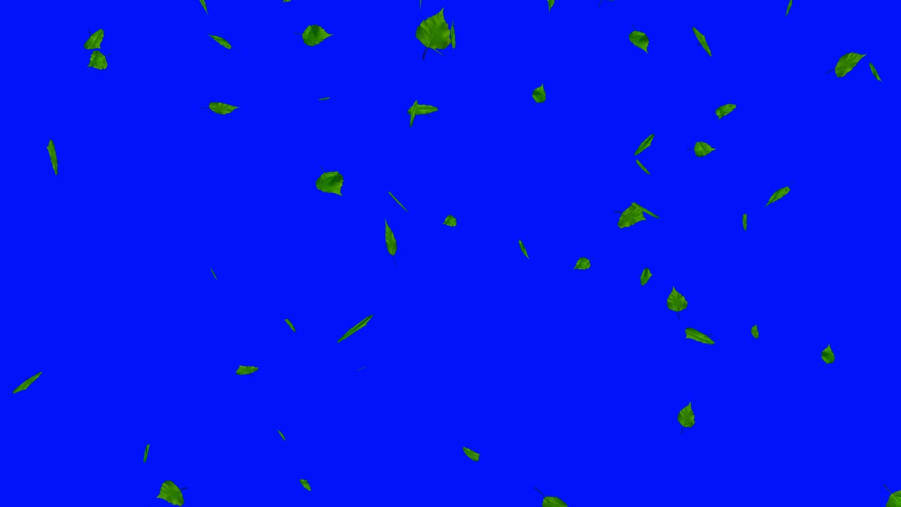 hojas verdes aisladas en azul