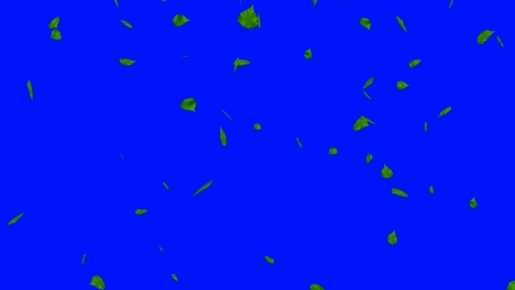 hojas verdes aisladas en azul