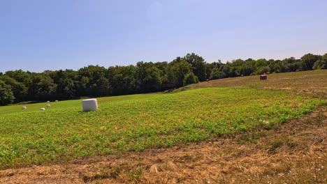tierras de cultivo rurales con balas de heno
