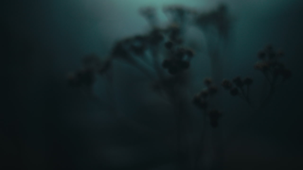 A miniature trees and plants at night