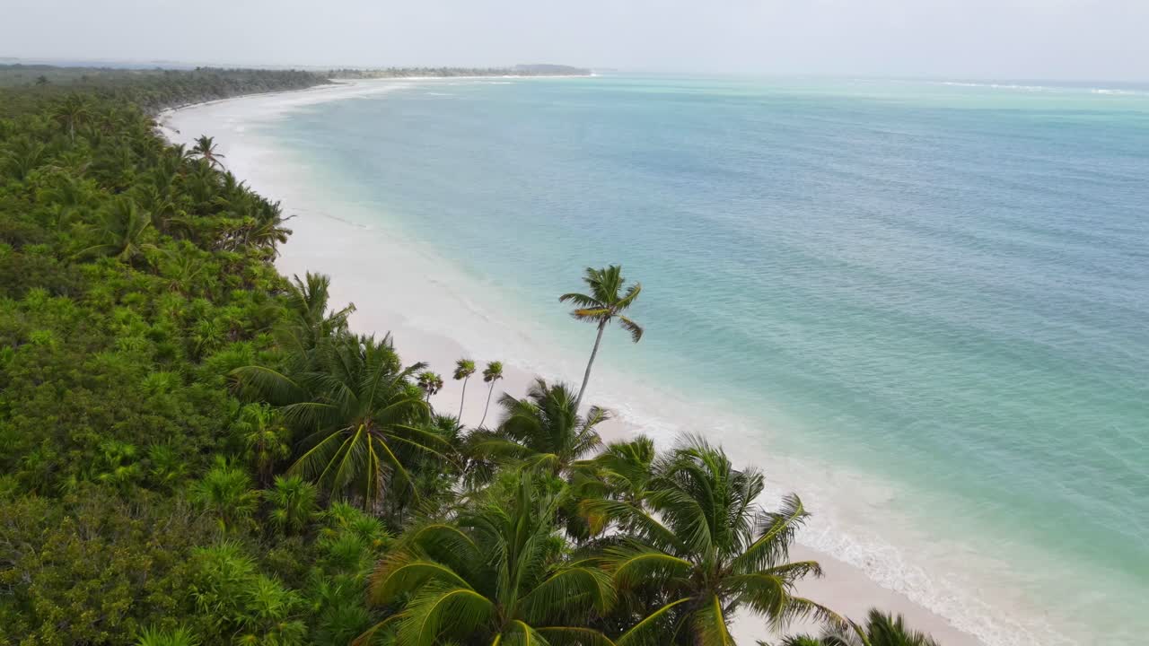 Mare di acque turchesi e sulle sue rive una foresta tropicale con palme.