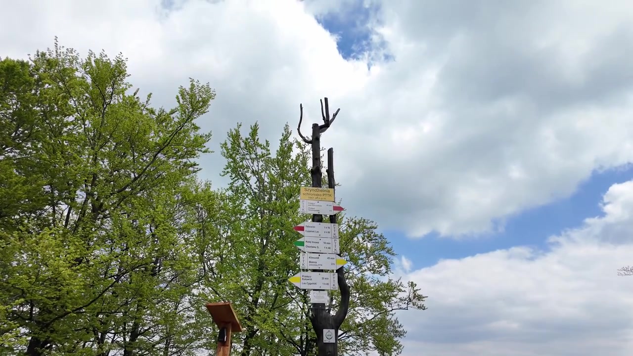 Cartello segnaletico montano in legno con frecce direzionali colorate e tempi di percorrenza a un bivio di sentieri nei Beskidi Slesiani, circondato da alberi verdi e nuvole bianche