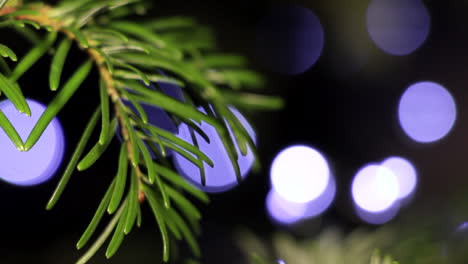 tire del foco desde el fondo hasta la rama puntiaguda del árbol de navidad con luces de cadena led bokeh de fondo