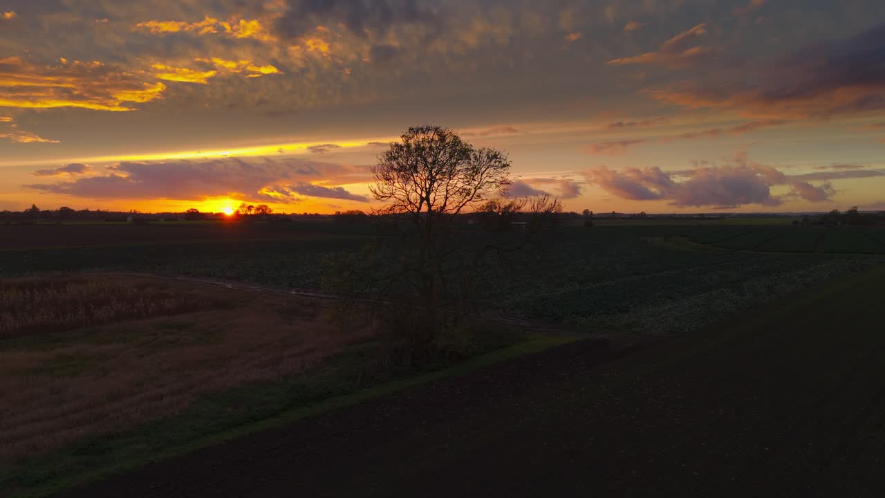 Atmospheric summer autumn sunset with waving wild grass in sunlight, rural meadow or field in countryside. Rural countryside scene, summer agriculture theme