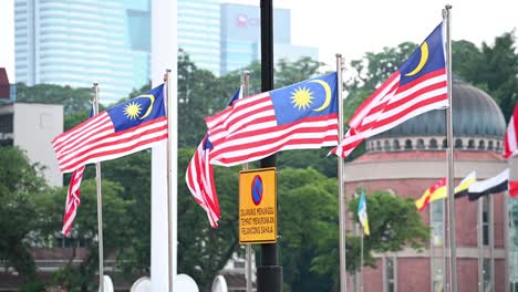 waving malaysian flags against the background of an office building and trees