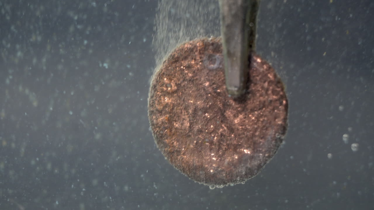 Ancient Roman coin held by alligator clip during electrolytic cleaning