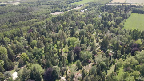 high aerial of large beautiful park in blossom