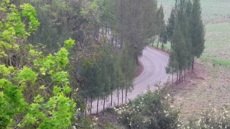 car navigating a scenic, tree-lined road