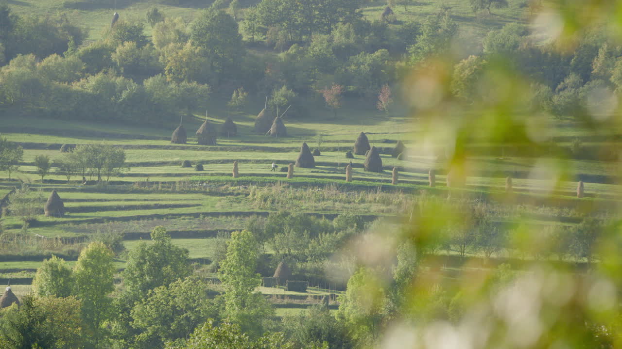 포커스 풀 와이드 샷 - 전통적인 건초더미가 많은 전형적인 시골 장면