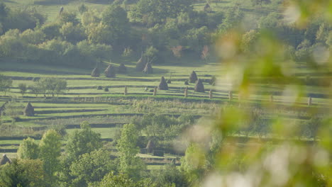 focus pull wide shot - a classic rural scene with many traditional haystacks