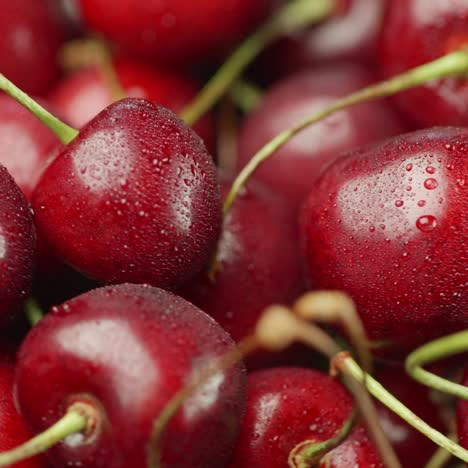 Juicy-Cherry-Berries-Covered-With-Droplets-Of-Water-Rotate