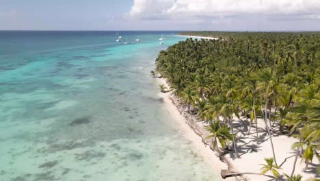 Herrliche-Aussicht-Auf-Den-Strand-Der-Insel-Saona