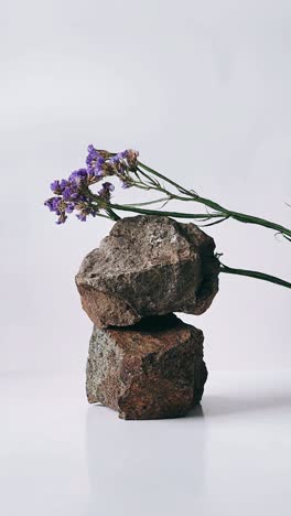 stack of rocks with purple flowers