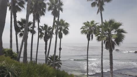 Beautiful-California-Coast-Beach---4k-Log-Ungraded