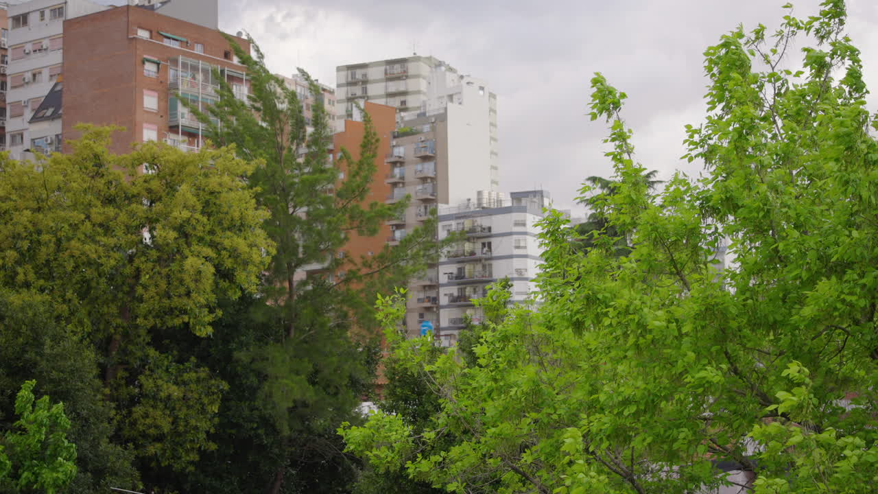 Paisagem Urbana com Árvores Verdes Balançando ao Vento em um Dia Nublado.