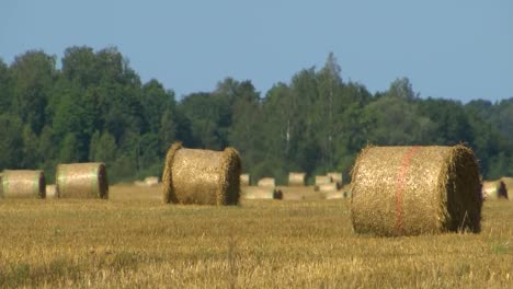 Straw-rolls-in-a-large-meadow,-you-can-see-a-lot-of-heat
