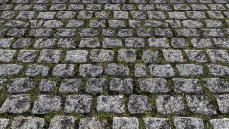 an aerial view over old natural stone cobbles with grass and weeds in-between the joints - seamless looping