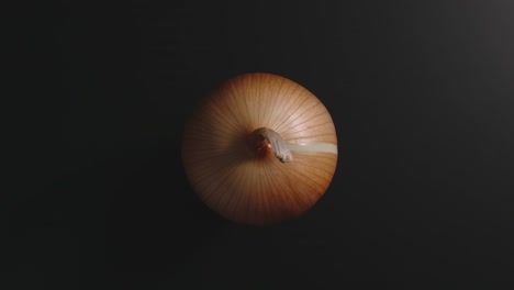 onion rotates on a black surface. top view. stop motion